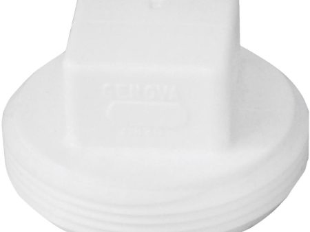 Charlotte Pipe 2 In. Schedule 40 DWV Cleanout PVC Plug Online Sale