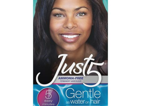 Just 5 Women s Five Minute Permanent Hair Color- Jet Black For Sale