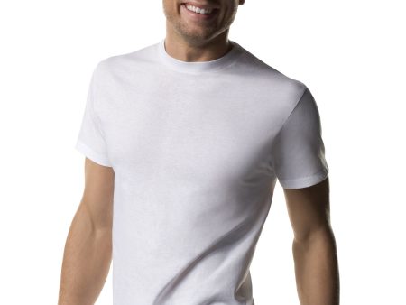 Hanes Men s 3pk Crewneck T-shirts - Large Supply