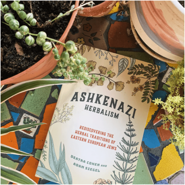 Ashkenazi Herbalism For Discount