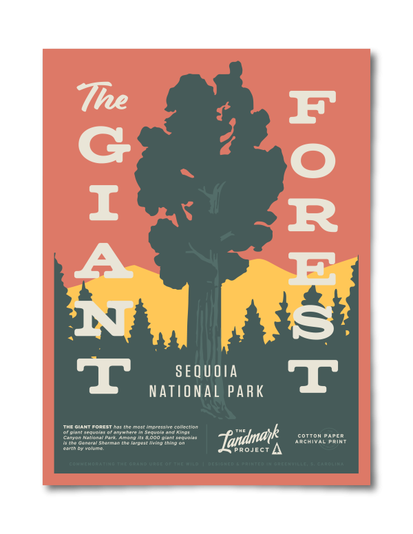 Giant Forest Poster For Discount