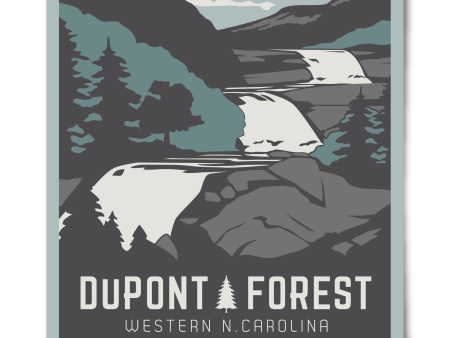 Dupont State Forest Poster Online now