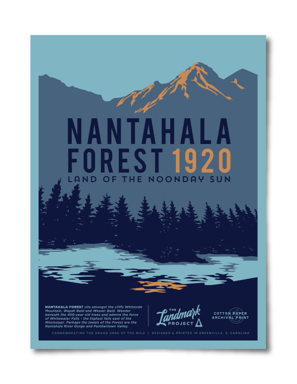 Nantahala Forest Poster Online Sale